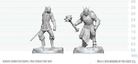 Dragonborn Paladin & Dragonborn Squire