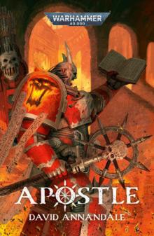 Apostle Apostle