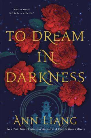 To Dream in Darkness To Dream in Darkness