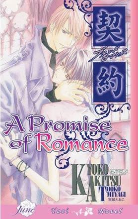 A Promise of Romance Novel