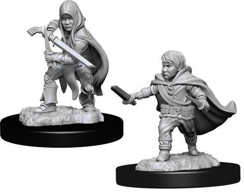 Halfling Male Rogue (W13)