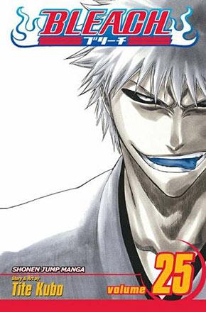 Bleach Vol 25