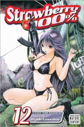Strawberry 100 % Vol 12