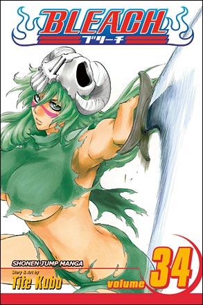 Bleach Vol 34