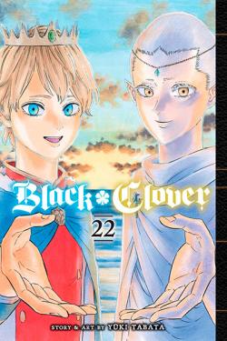 Black Clover Vol 22