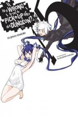 Is It Wrong To Try To Pick Up Girls in a Dungeon Novel 15