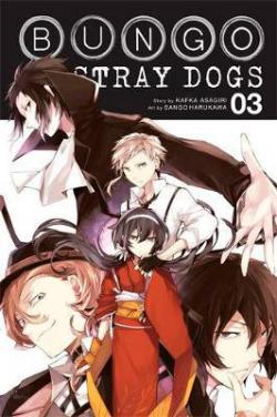 Bungo Stray Dogs Vol 3