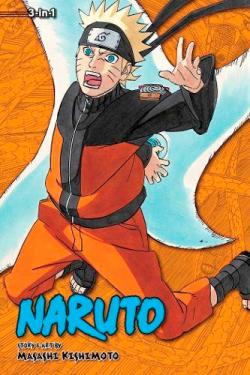Naruto 3-in-1 Vol 19