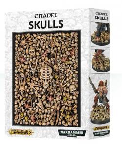 Citadel Skulls