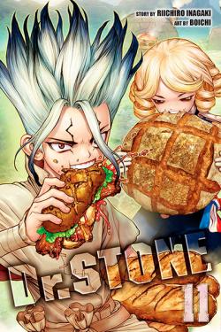 Dr Stone Vol 11