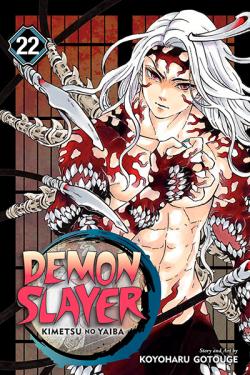 Demon Slayer Kimetsu no Yaiba Vol 22