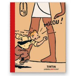 Tintin Agenda 2022