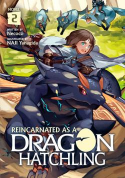 Reincarnated as a Dragon Hatchling Light Novel 2