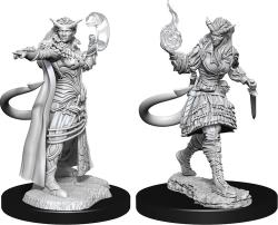 Tiefling Sorcerer Female
