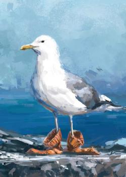 Vykort - Seagull