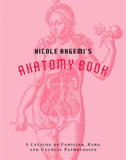 Nicole Angemi's Anatomy