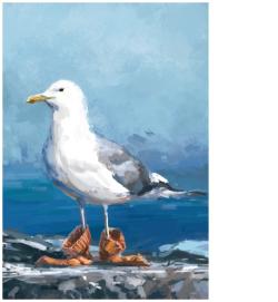 Print A4 - Seagull