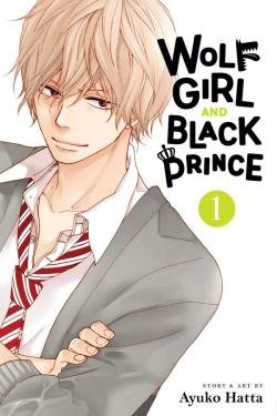 Wolf Girl and Black Prince Vol 1