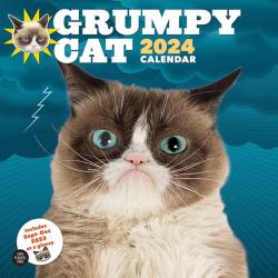Grumpy Cat Wall Calendar 2024