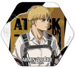 Hexagonal Can Badge WC Armin