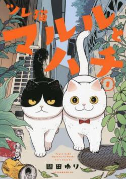 Cat Partners: Maruru and Hachi vol.1 (Japansk)