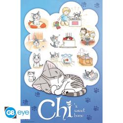 (B6) Poster Maxi Chi's Dream