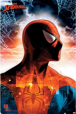 Spider-Man Protector of the City Maxi Poster #X2