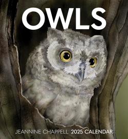 Owls Jeannine Chappell 2025 Wall Calendar
