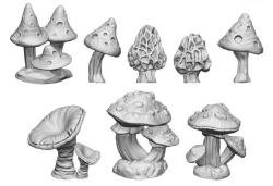 Wild Mushrooms XL