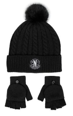 Nevermore Beanie & Gloves Set