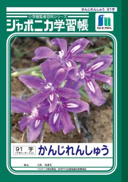 Kanji Practice Notebook w/ Crossreader - 91 characters/page