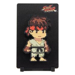 Ryu Magnet Collectible