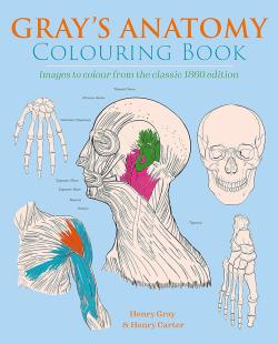 Gray's Anatomy Colouring Book