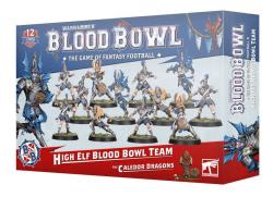 High Elf Blood Bowl Team