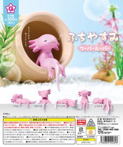 Fuchiyasumi Axolotl (Gacha)