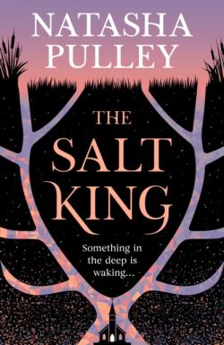The Salt King