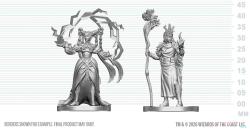 Human Druid & Elf Sorcerer