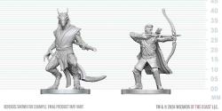Elf Ranger & Dragonborn Monk