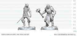 Dragonborn Paladin & Dragonborn Squire
